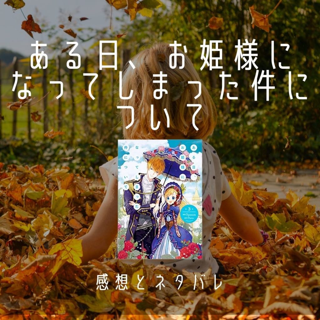 小説 に なっ しまっ 件 お姫様 た ある 日 て について